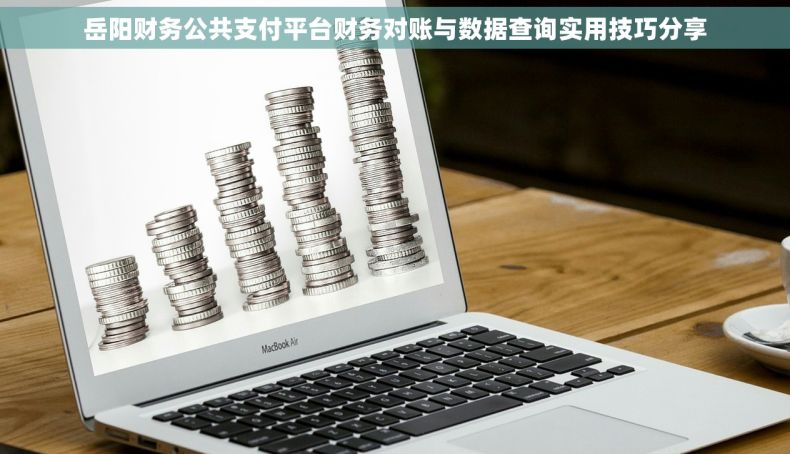 岳阳财务公共支付平台财务对账与数据查询实用技巧分享