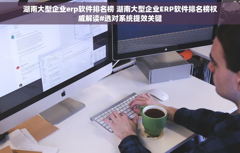 湖南大型企业erp软件排名榜 湖南大型企业ERP软件排名榜权威解读#选对系统提效关键