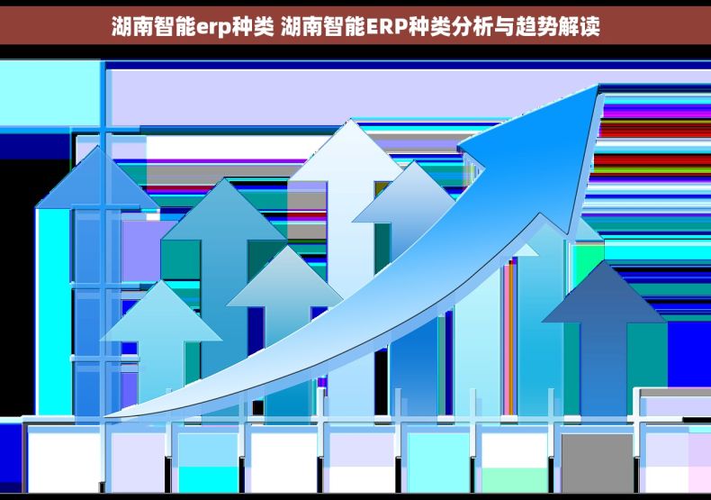 湖南智能erp种类 湖南智能ERP种类分析与趋势解读
