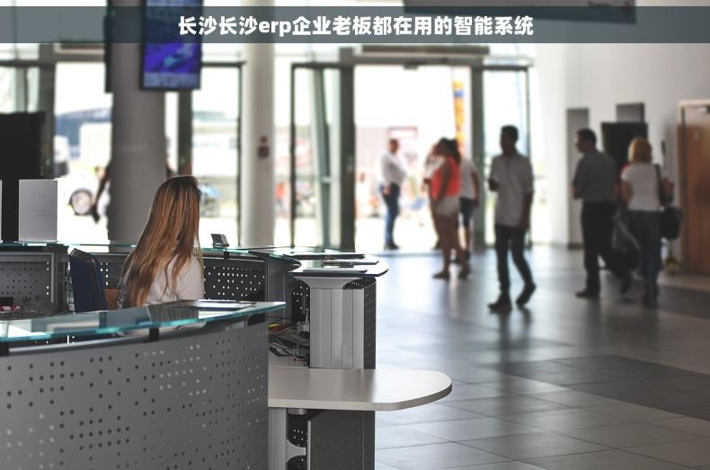 长沙长沙erp企业老板都在用的智能系统 长沙长沙erp企业老板都在用的智能系统