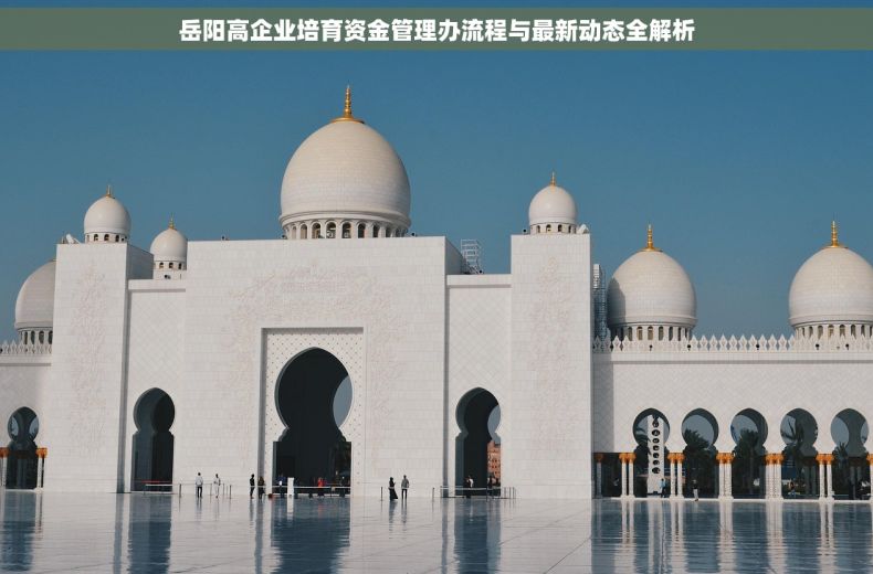 岳阳高企业培育资金管理办流程与最新动态全解析 岳阳高企业培育资金管理办流程与最新动态全解析