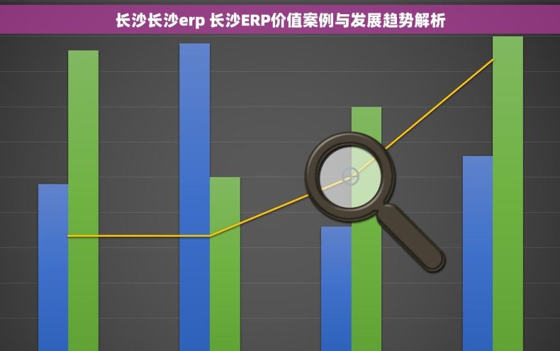 长沙长沙erp 长沙ERP价值案例与发展趋势解析