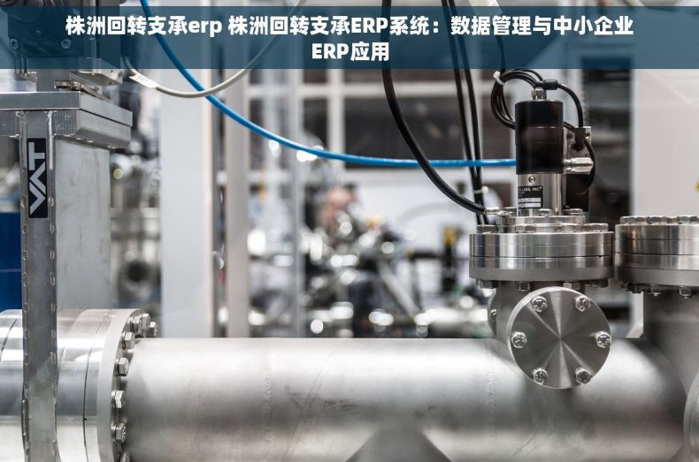 株洲回转支承erp 株洲回转支承ERP系统：数据管理与中小企业ERP应用