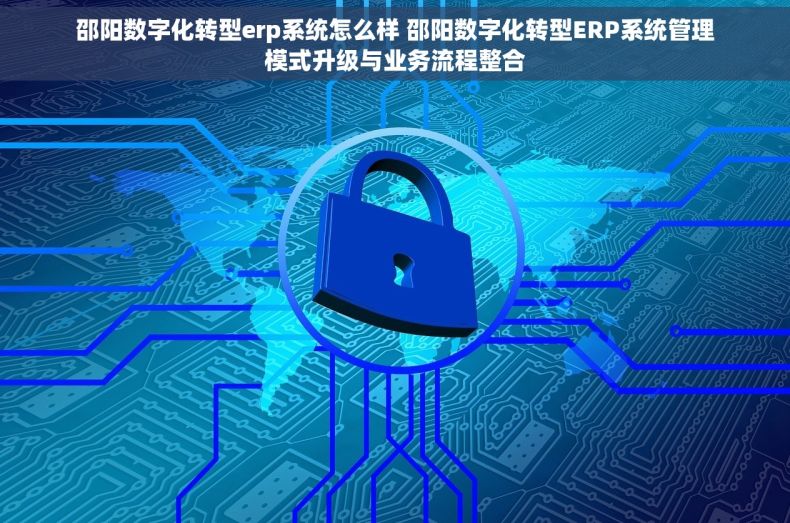 邵阳数字化转型erp系统怎么样 邵阳数字化转型ERP系统管理模式升级与业务流程整合