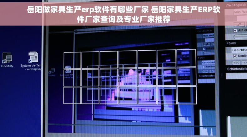 岳阳做家具生产erp软件有哪些厂家 岳阳家具生产ERP软件厂家查询及专业厂家推荐