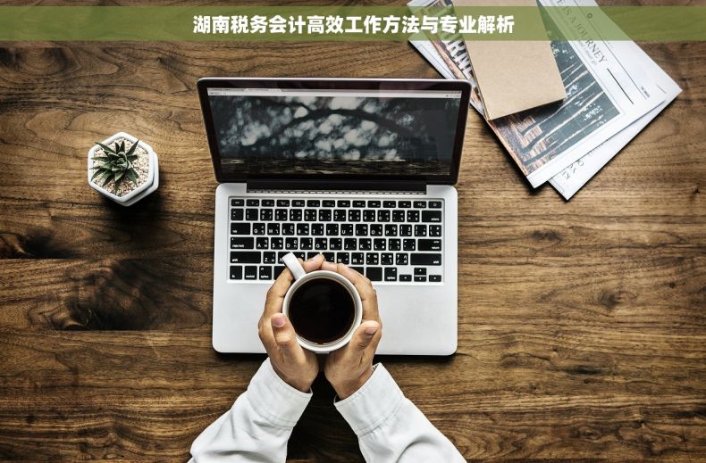 湖南税务会计高效工作方法与专业解析