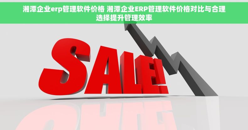 湘潭企业erp管理软件价格 湘潭企业ERP管理软件价格对比与合理选择提升管理效率