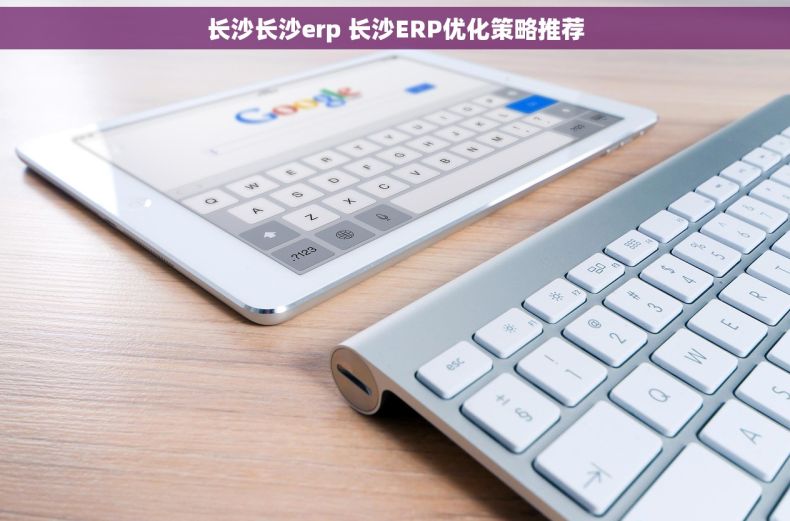 长沙长沙erp 长沙ERP优化策略推荐