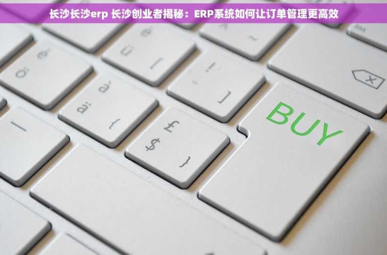 长沙长沙erp 长沙创业者揭秘：ERP系统如何让订单管理更高效