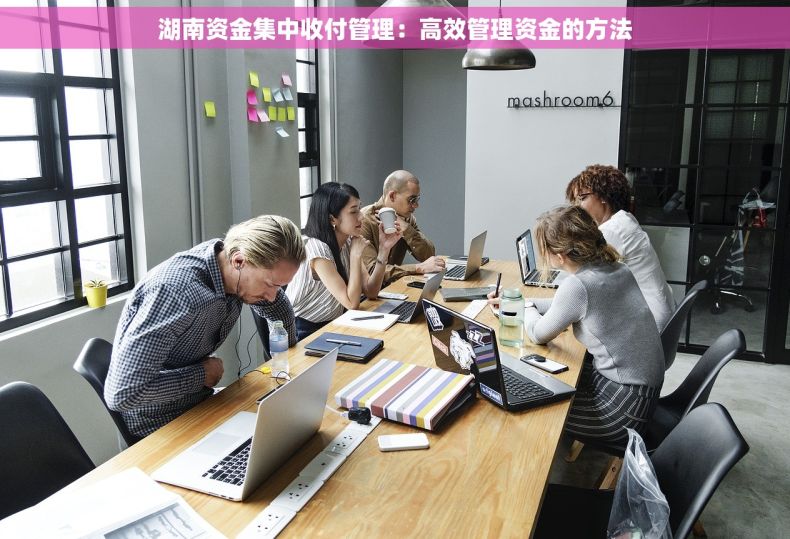 湖南资金集中收付管理：高效管理资金的方法