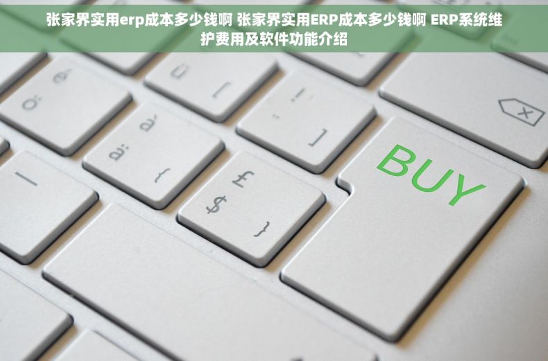 张家界实用erp成本多少钱啊 张家界实用ERP成本多少钱啊 ERP系统维护费用及软件功能介绍