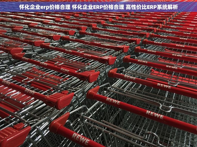 怀化企业erp价格合理 怀化企业ERP价格合理 高性价比ERP系统解析 怀化企业erp价格合理 怀化企业ERP价格合理 高性价比ERP系统解析