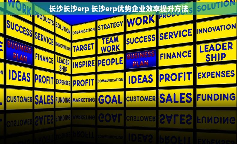 长沙长沙erp 长沙erp优势企业效率提升方法