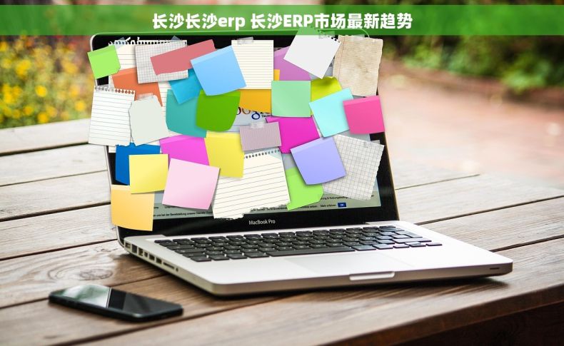 长沙长沙erp 长沙ERP市场最新趋势