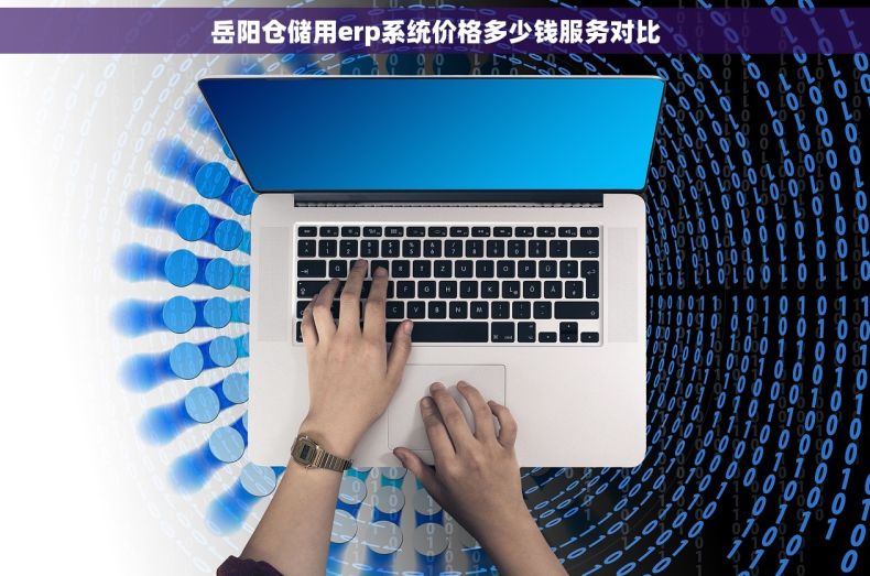 岳阳仓储用erp系统价格多少钱服务对比 岳阳仓储用erp系统价格多少钱服务对比