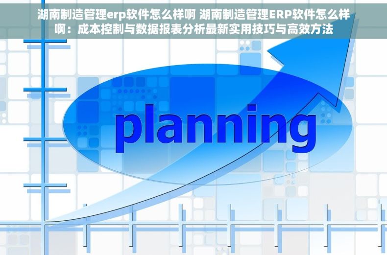 湖南制造管理erp软件怎么样啊 湖南制造管理ERP软件怎么样啊：成本控制与数据报表分析最新实用技巧与高效方法
