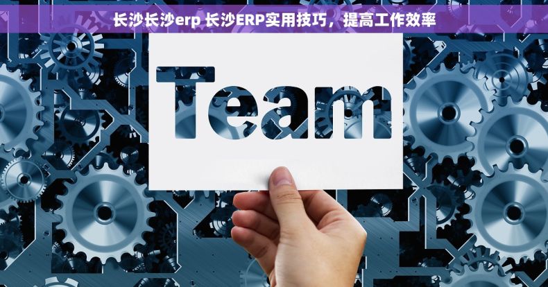 长沙长沙erp 长沙ERP实用技巧,提高工作效率 长沙长沙erp 长沙ERP实用技巧,提高工作效率