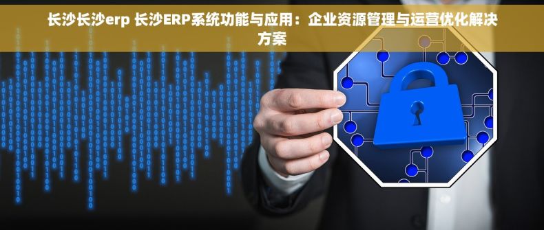 长沙长沙erp 长沙ERP系统功能与应用：企业资源管理与运营优化解决方案