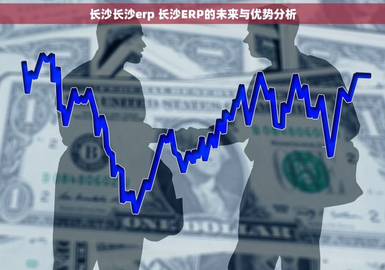 长沙长沙erp 长沙ERP的未来与优势分析 长沙长沙erp 长沙ERP的未来与优势分析