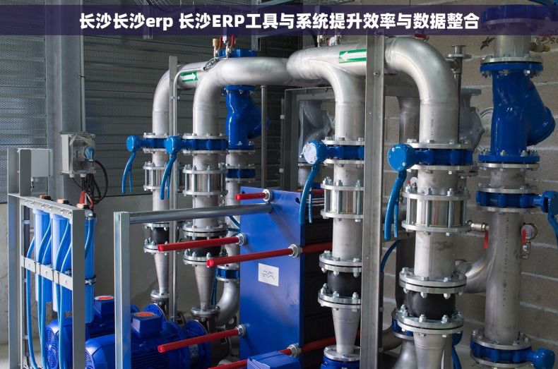 长沙长沙erp 长沙ERP工具与系统提升效率与数据整合 长沙长沙erp 长沙ERP工具与系统提升效率与数据整合