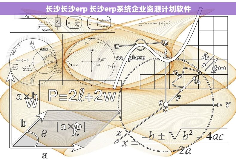 长沙长沙erp 长沙erp系统企业资源计划软件 长沙长沙erp 长沙erp系统企业资源计划软件