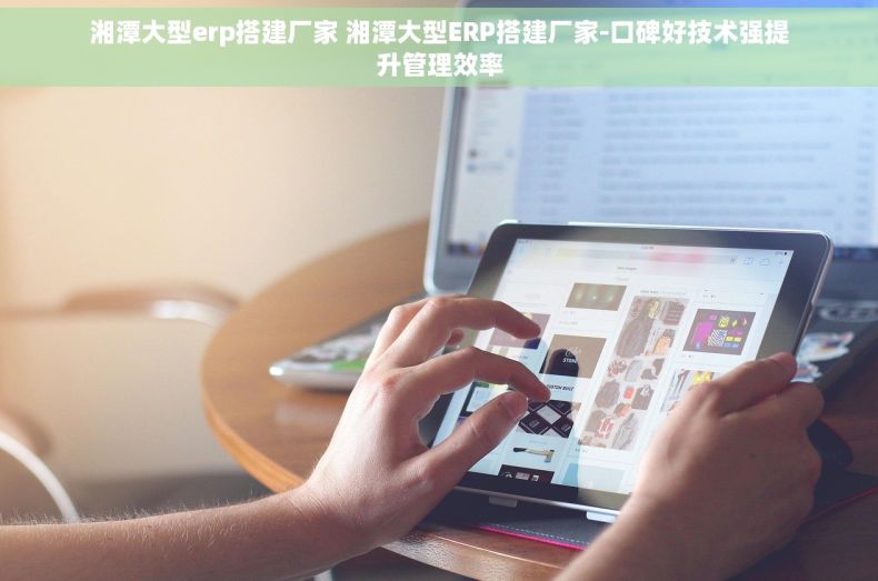 湘潭大型erp搭建厂家 湘潭大型ERP搭建厂家-口碑好技术强提升管理效率