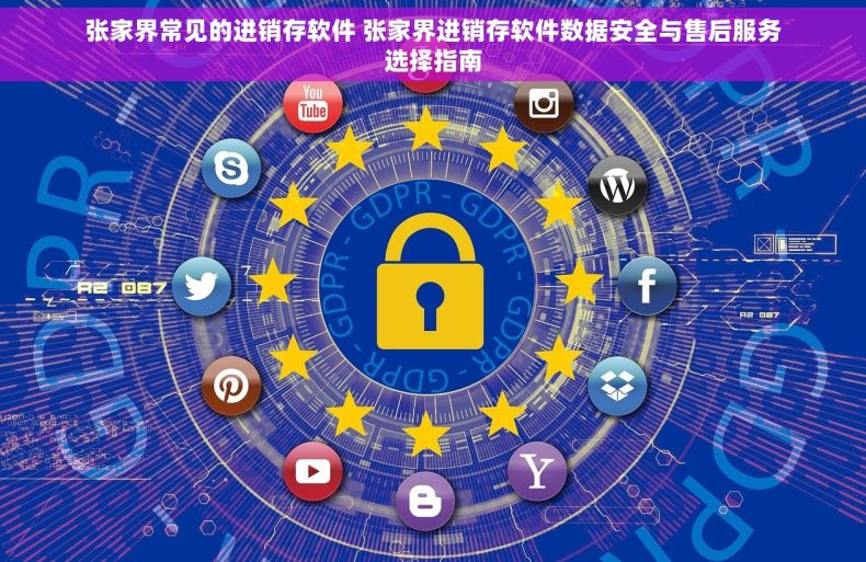 张家界常见的进销存软件 张家界进销存软件数据安全与售后服务选择指南
