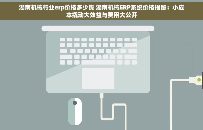 湖南机械行业erp价格多少钱 湖南机械ERP系统价格揭秘：小成本撬动大效益与费用大公开