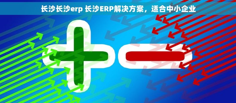 长沙长沙erp 长沙ERP解决方案，适合中小企业