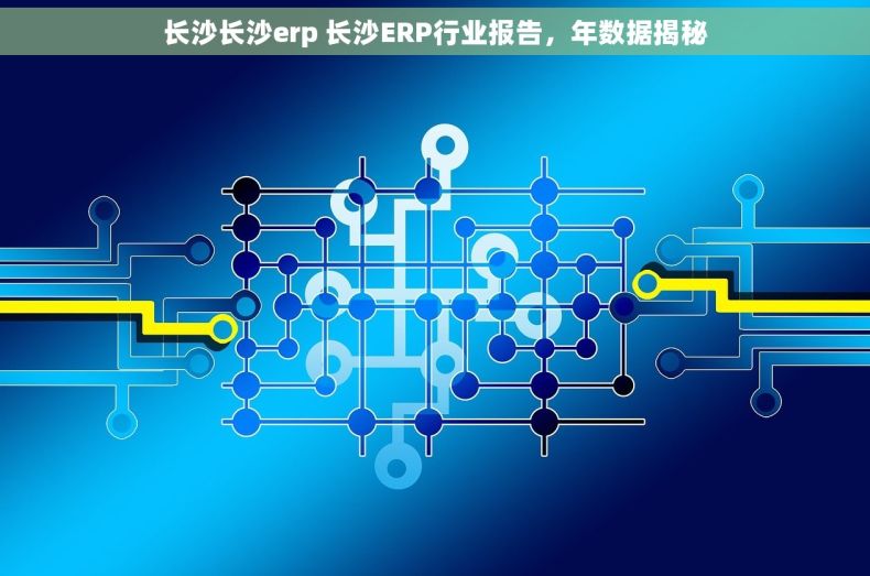 长沙长沙erp 长沙ERP行业报告，年数据揭秘