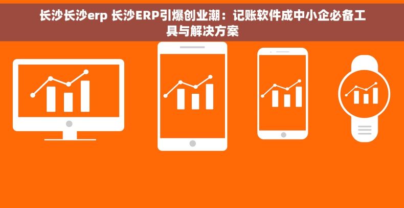 长沙长沙erp 长沙ERP引爆创业潮：记账软件成中小企必备工具与解决方案