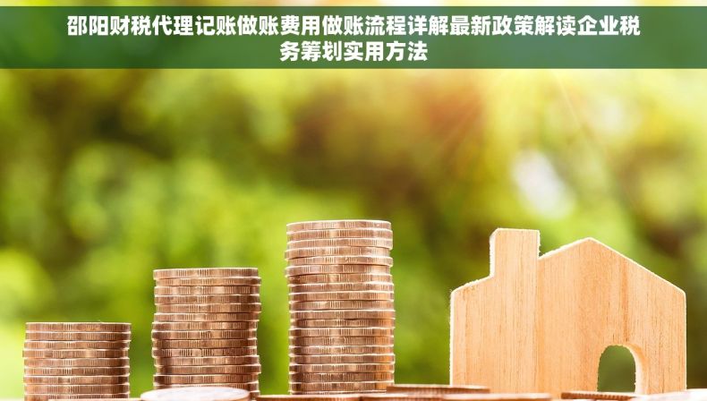 邵阳财税代理记账做账费用做账流程详解最新政策解读企业税务筹划实用方法