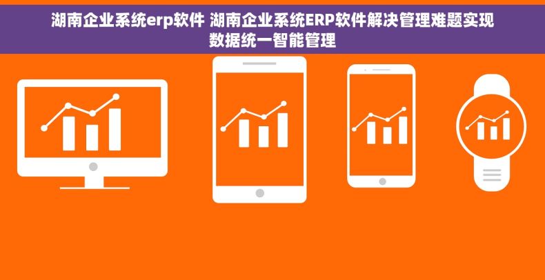 湖南企业系统erp软件 湖南企业系统ERP软件解决管理难题实现数据统一智能管理 湖南企业系统erp软件 湖南企业系统ERP软件解决管理难题实现数据统一智能管理