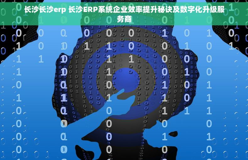 长沙长沙erp 长沙ERP系统企业效率提升秘诀及数字化升级服务商