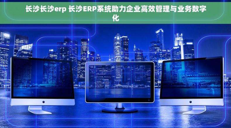 长沙长沙erp 长沙ERP系统助力企业高效管理与业务数字化