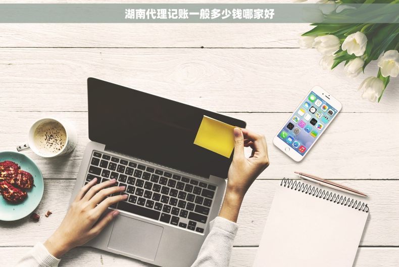 湖南代理记账一般多少钱哪家好