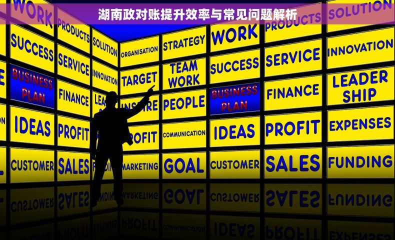 湖南政对账提升效率与常见问题解析