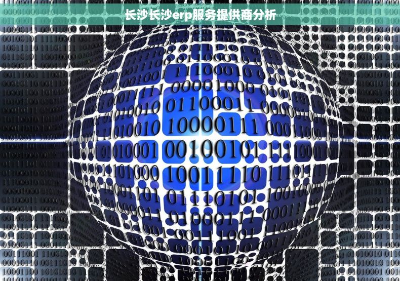 长沙长沙erp服务提供商分析