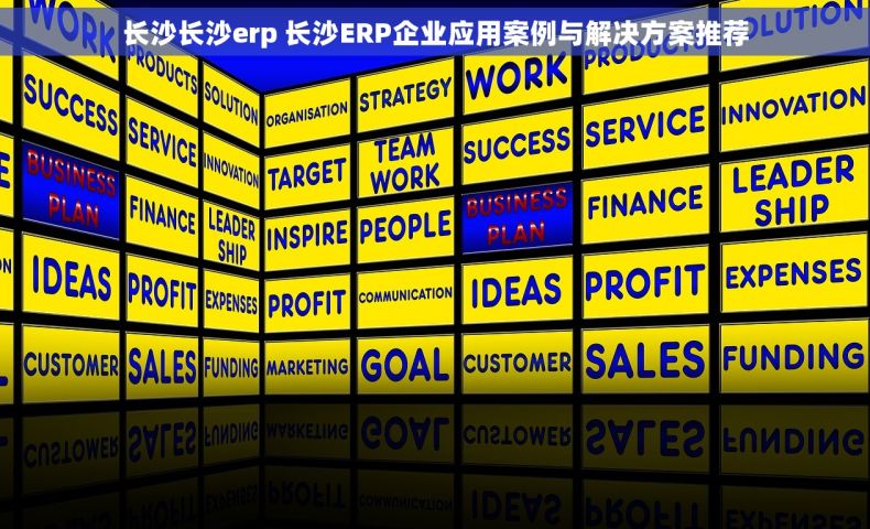 长沙长沙erp 长沙ERP企业应用案例与解决方案推荐 长沙长沙erp 长沙ERP企业应用案例与解决方案推荐
