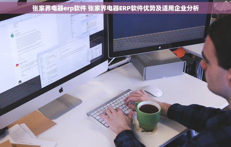 张家界电器erp软件 张家界电器ERP软件优势及适用企业分析 张家界电器erp软件 张家界电器ERP软件优势及适用企业分析