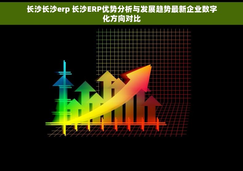 长沙长沙erp 长沙ERP优势分析与发展趋势最新企业数字化方向对比