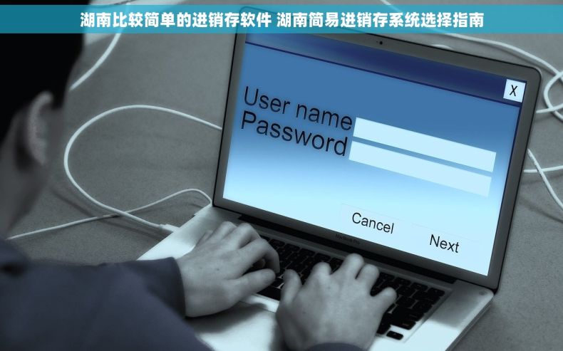 湖南比较简单的进销存软件 湖南简易进销存系统选择指南