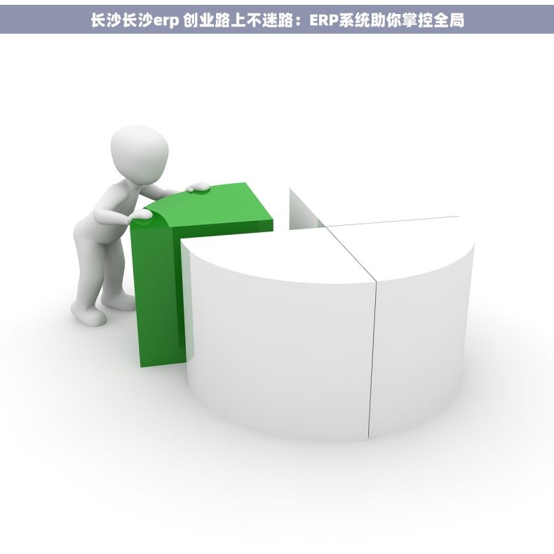长沙长沙erp 创业路上不迷路：ERP系统助你掌控全局
