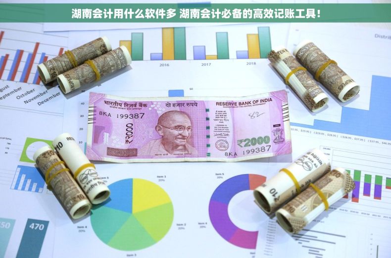 湖南会计用什么软件多 湖南会计必备的高效记账工具! 湖南会计用什么软件多 湖南会计必备的高效记账工具!