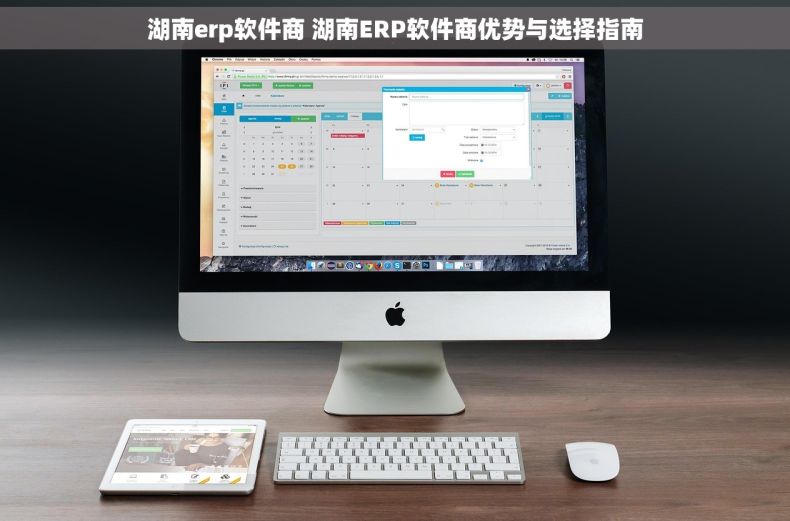 湖南erp软件商 湖南ERP软件商优势与选择指南 湖南erp软件商 湖南ERP软件商优势与选择指南
