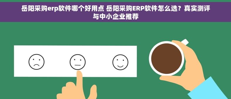 岳阳采购erp软件哪个好用点 岳阳采购ERP软件怎么选？真实测评与中小企业推荐