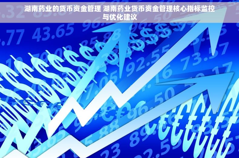 湖南药业的货币资金管理 湖南药业货币资金管理核心指标监控与优化建议 湖南药业的货币资金管理 湖南药业货币资金管理核心指标监控与优化建议