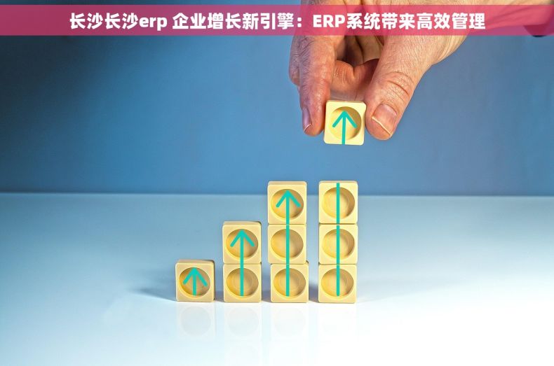 长沙长沙erp 企业增长新引擎:ERP系统带来高效管理 长沙长沙erp 企业增长新引擎:ERP系统带来高效管理