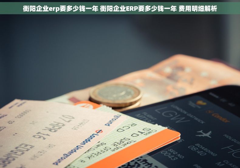 衡阳企业erp要多少钱一年 衡阳企业ERP要多少钱一年 费用明细解析 衡阳企业erp要多少钱一年 衡阳企业ERP要多少钱一年 费用明细解析