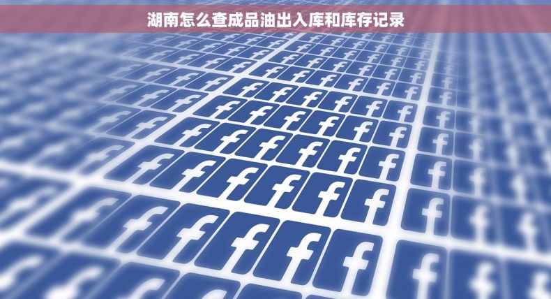 湖南怎么查成品油出入库和库存记录 湖南怎么查成品油出入库和库存记录